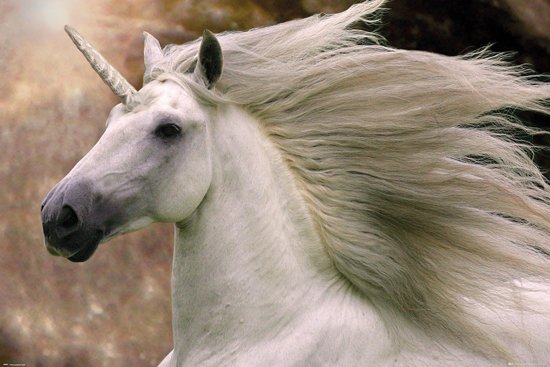 GBeye Bob Langrish Unicorn Poster 91 GBeye Bob Langrish Unicorn Poster 91