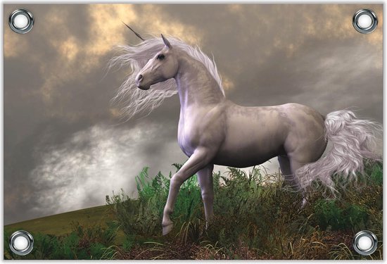 Tuinposter –Witte Unicorn op Berg– 60x40 Foto op Tuinposter (wanddecoratie voor buiten en binnen) Tuinposter –Witte Unicorn op Berg– 60x40 Foto op Tuinposter (wanddecoratie voor buiten en binnen)