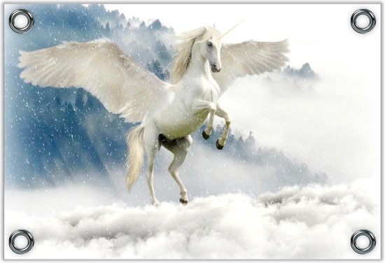 Tuinposter –Witte Eenhoorn in de Wolken– 40x30 Foto op Tuinposter (wanddecoratie voor buiten en binnen) Tuinposter –Witte Eenhoorn in de Wolken– 40x30 Foto op Tuinposter (wanddecoratie voor buiten en binnen)