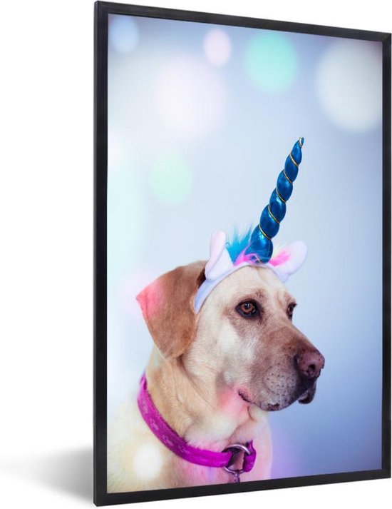 Foto in lijst - Labrador verkleed als eenhoorn fotolijst zwart zonder passe partout 60x90 cm - Poster in lijst (Wanddecoratie woonkamer / slaapkamer) Foto in lijst - Labrador verkleed als eenhoorn fotolijst zwart zonder passe partout 60x90 cm - Poster in lijst (Wanddecoratie woonkamer / slaapkamer)