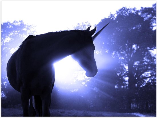 Poster – Eenhoorn met Wit Licht - 40x30cm Foto op Posterpapier Poster – Eenhoorn met Wit Licht - 40x30cm Foto op Posterpapier