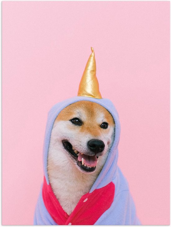 Poster – Unicorn Badjas bij Hond - 30x40cm Foto op Posterpapier Poster – Unicorn Badjas bij Hond - 30x40cm Foto op Posterpapier
