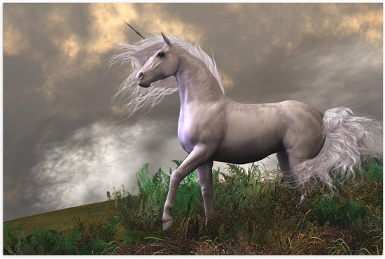Poster – Witte Unicorn op Berg - 60x40cm Foto op Posterpapier Poster – Witte Unicorn op Berg - 60x40cm Foto op Posterpapier