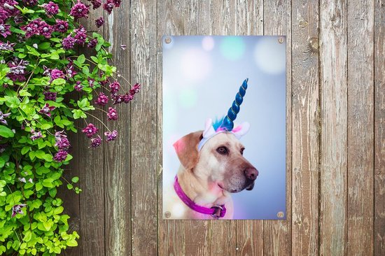 Tuinposter Abstracte Honden - Labrador verkleed als eenhoorn 60x90 cm - Tuindoek/Buitencanvas/Schilderijen voor buiten (tuin decoratie) Tuinposter Abstracte Honden - Labrador verkleed als eenhoorn 60x90 cm - Tuindoek/Buitencanvas/Schilderijen voor buiten (tuin decoratie)