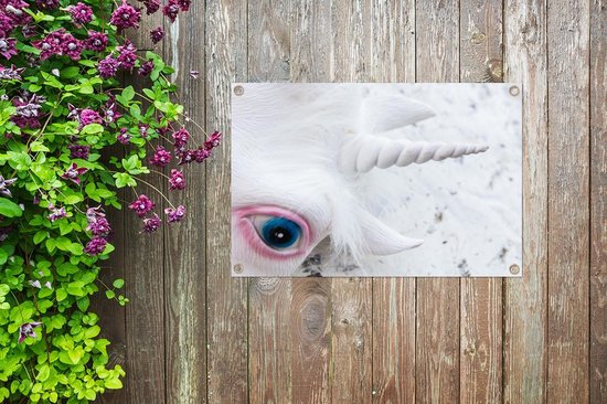 Tuinposter Eenhoorns - Masker van een eenhoorn 60x40 cm - Tuindoek/Buitencanvas/Schilderijen voor buiten (tuin decoratie) Tuinposter Eenhoorns - Masker van een eenhoorn 60x40 cm - Tuindoek/Buitencanvas/Schilderijen voor buiten (tuin decoratie)