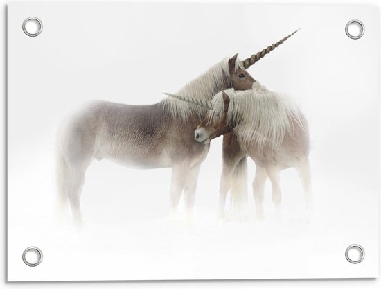 Tuinposter – Eenhoorn Koppel - 40x30cm Foto op Tuinposter (wanddecoratie voor buiten en binnen) Tuinposter – Eenhoorn Koppel - 40x30cm Foto op Tuinposter (wanddecoratie voor buiten en binnen)