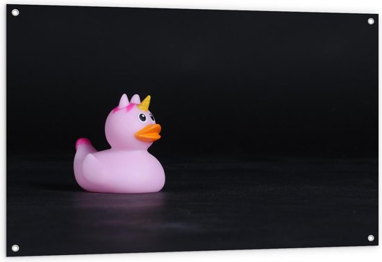 Tuinposter – Roze Bandeendje met Unicorn - 120x80cm Foto op Tuinposter (wanddecoratie voor buiten en binnen) Tuinposter – Roze Bandeendje met Unicorn - 120x80cm Foto op Tuinposter (wanddecoratie voor buiten en binnen)