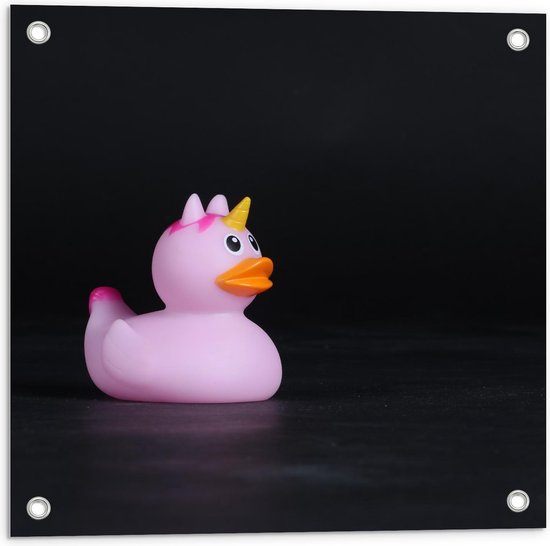 Tuinposter – Roze Bandeendje met Unicorn - 50x50cm Foto op Tuinposter (wanddecoratie voor buiten en binnen) Tuinposter – Roze Bandeendje met Unicorn - 50x50cm Foto op Tuinposter (wanddecoratie voor buiten en binnen)