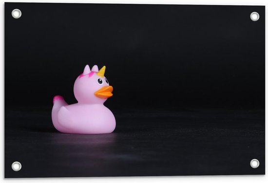 Tuinposter – Roze Bandeendje met Unicorn - 60x40cm Foto op Tuinposter (wanddecoratie voor buiten en binnen) Tuinposter – Roze Bandeendje met Unicorn - 60x40cm Foto op Tuinposter (wanddecoratie voor buiten en binnen)