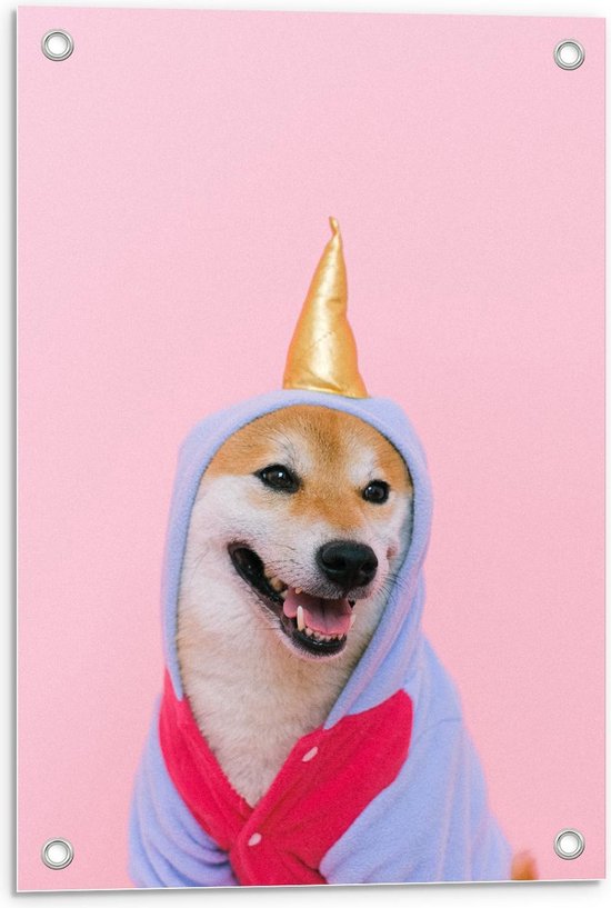 Tuinposter – Unicorn Pak bij Hond - 40x60cm Foto op Tuinposter (wanddecoratie voor buiten en binnen) Tuinposter – Unicorn Pak bij Hond - 40x60cm Foto op Tuinposter (wanddecoratie voor buiten en binnen)