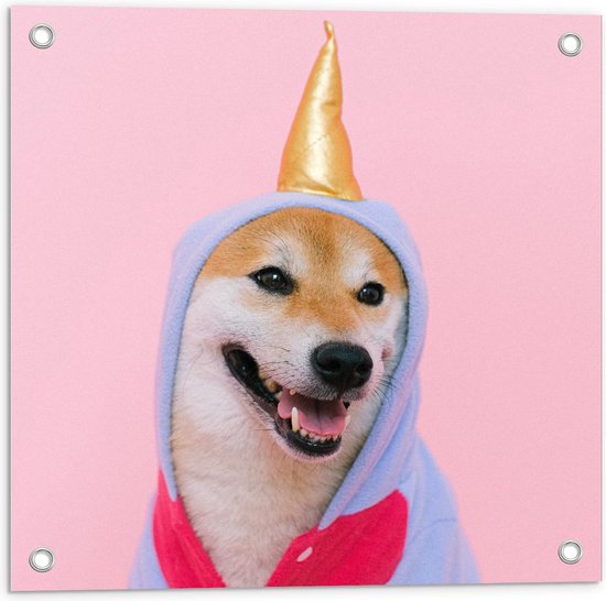Tuinposter – Unicorn Pak bij Hond - 50x50cm Foto op Tuinposter (wanddecoratie voor buiten en binnen) Tuinposter – Unicorn Pak bij Hond - 50x50cm Foto op Tuinposter (wanddecoratie voor buiten en binnen)