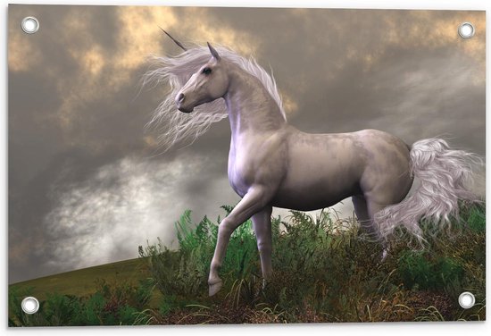 Tuinposter – Witte Unicorn op Berg - 60x40cm Foto op Tuinposter (wanddecoratie voor buiten en binnen) Tuinposter – Witte Unicorn op Berg - 60x40cm Foto op Tuinposter (wanddecoratie voor buiten en binnen)