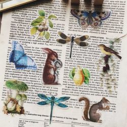 Flora & Fauna Stickers - 3 - Die Cuts- 50 stuks vintage vellum stickers