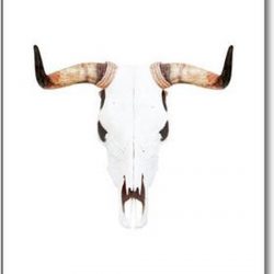 Unicorn 'Somewhere over the Rainbow' - A3 Poster 29x42cm