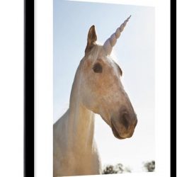 Foto in lijst - Eenhoorn in het zonlicht fotolijst 60x90 cm - Poster in lijst (Wanddecoratie woonkamer / slaapkamer)