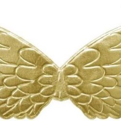 Prinsessen vleugels goud bij prinsessenjurk eenhoorn jurk verkleedkleding verkleedjurk