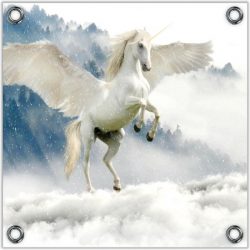 Tuinposter –Witte Eenhoorn in de Wolken– 50x50 Foto op Tuinposter (wanddecoratie voor buiten en binnen)