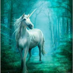 3d poster - Anne Stokes - Forrest Unicorn