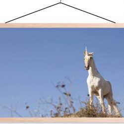 Eenhoorn op heuveltop schoolplaat platte latten blank 120x80 cm - Foto print op textielposter (wanddecoratie woonkamer/slaapkamer)