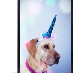 Foto in lijst - Labrador verkleed als eenhoorn fotolijst zwart zonder passe partout 20x30 cm - Poster in lijst (Wanddecoratie woonkamer / slaapkamer)