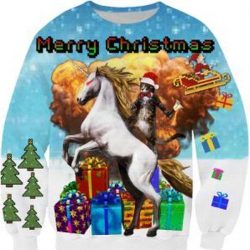 Kersttrui met eenhoorn en kat Maat S