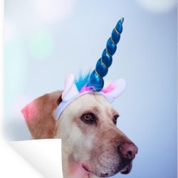 Muursticker Abstracte Honden - Labrador verkleed als eenhoorn - 60x90 cm - zelfklevend plakfolie - herpositioneerbare muur sticker