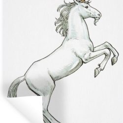 Muursticker Kinderillustratie Unicorn - Kinderillustratie steigerend eenhoorn - 80x120 cm - zelfklevend plakfolie - herpositioneerbare muur sticker
