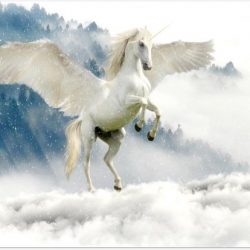 Poster – Witte Eenhoorn in de Wolken - 40x30cm Foto op Posterpapier