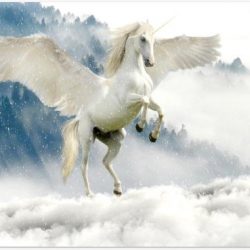 Poster – Witte Eenhoorn in de Wolken - 60x40cm Foto op Posterpapier