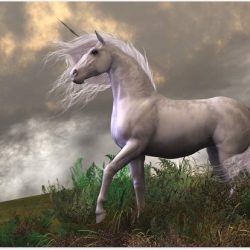 Poster – Witte Unicorn op Berg - 40x30cm Foto op Posterpapier