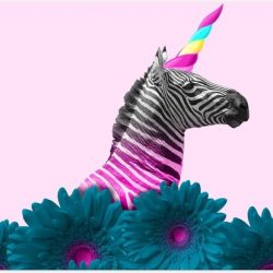 Poster – Zebra als Eenhoorn met Bloemen - 40x30cm Foto op Posterpapier