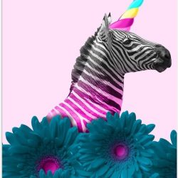 Poster – Zebra als Eenhoorn met Bloemen - 40x60cm Foto op Posterpapier