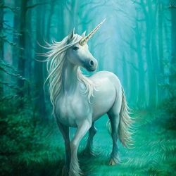Pyramid Anne Stokes Forest Unicorn Poster 61x91