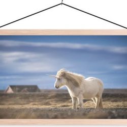 Realistische foto van eenhoorn schoolplaat platte latten blank 60x30 cm - Foto print op textielposter (wanddecoratie woonkamer/slaapkamer)