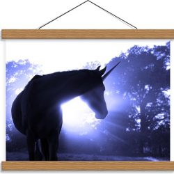 Schoolplaat – Eenhoorn met Wit Licht - 40x30cm Foto op Textielposter (Wanddecoratie op Schoolplaat)