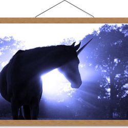 Schoolplaat – Eenhoorn met Wit Licht - 60x40cm Foto op Textielposter (Wanddecoratie op Schoolplaat)