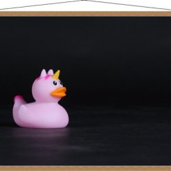 Schoolplaat – Roze Bandeendje met Unicorn - 120x80cm Foto op Textielposter (Wanddecoratie op Schoolplaat)