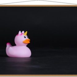 Schoolplaat – Roze Bandeendje met Unicorn - 150x100cm Foto op Textielposter (Wanddecoratie op Schoolplaat)