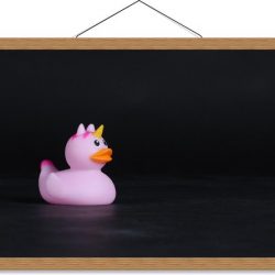 Schoolplaat – Roze Bandeendje met Unicorn - 60x40cm Foto op Textielposter (Wanddecoratie op Schoolplaat)