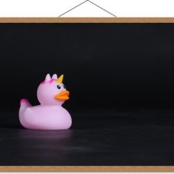 Schoolplaat – Roze Bandeendje met Unicorn - 90x60cm Foto op Textielposter (Wanddecoratie op Schoolplaat)