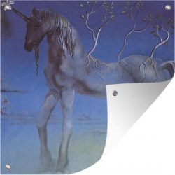 Tuinposter Uitsneden Salvador Dali 3 - Eenhoorn - schilderij van Salvador Dali tuinposter los doek 50x50 cm - Tuindoek/Buitencanvas/Schilderijen voor buiten (tuin decoratie)