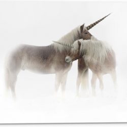 Tuinposter – Eenhoorn Koppel - 40x30cm Foto op Tuinposter  (wanddecoratie voor buiten en binnen)