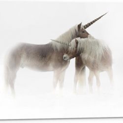 Tuinposter – Eenhoorn Koppel - 90x60cm Foto op Tuinposter  (wanddecoratie voor buiten en binnen)