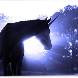 Tuinposter – Eenhoorn met Wit Licht - 40x30cm Foto op Tuinposter  (wanddecoratie voor buiten en binnen)