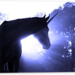 Tuinposter – Eenhoorn met Wit Licht - 60x40cm Foto op Tuinposter  (wanddecoratie voor buiten en binnen)
