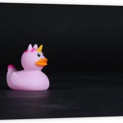 Tuinposter – Roze Bandeendje met Unicorn - 120x80cm Foto op Tuinposter  (wanddecoratie voor buiten en binnen)