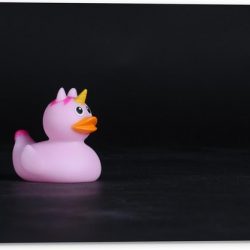 Tuinposter – Roze Bandeendje met Unicorn - 40x30cm Foto op Tuinposter  (wanddecoratie voor buiten en binnen)