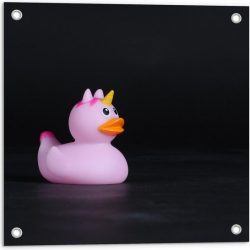Tuinposter – Roze Bandeendje met Unicorn - 50x50cm Foto op Tuinposter  (wanddecoratie voor buiten en binnen)