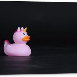 Tuinposter – Roze Bandeendje met Unicorn - 90x60cm Foto op Tuinposter  (wanddecoratie voor buiten en binnen)