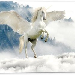 Tuinposter – Witte Eenhoorn in de Wolken - 60x40cm Foto op Tuinposter  (wanddecoratie voor buiten en binnen)